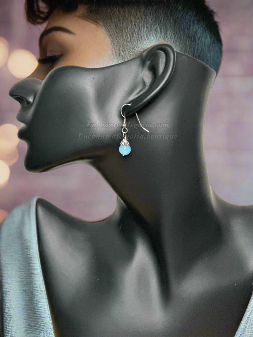 Tasteful Blues Dangle Earrings